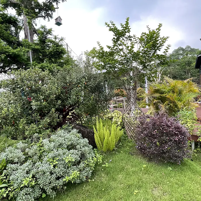Como Crape Myrtle cria uma paisagem deslumbrante e de baixa manutenção? Como Crape Myrtle cria uma paisagem deslumbrante e de baixa manutenção?